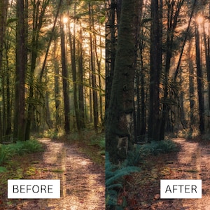 May include: A before and after image showing the difference in a photo editing technique. The before image shows a forest path with sunlight streaming through the trees. The after image shows the same forest path with enhanced colors and contrast.