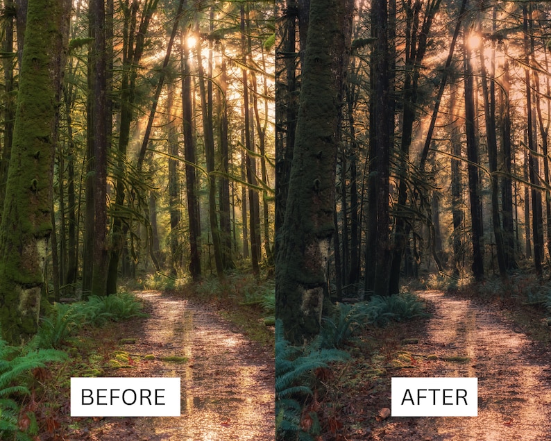 May include: A before and after image showing the difference in a photo editing technique. The before image shows a forest path with sunlight streaming through the trees. The after image shows the same forest path with enhanced colors and contrast.