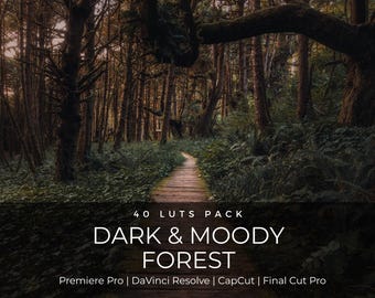 May include: A digital product listing featuring a forest path with tall trees and ferns. The text reads: 40 LUTS PACK DARK & MOODY FOREST Premiere Pro | DaVinci Resolve | CapCut | Final Cut Pro. The image displays a dark, atmospheric woodland scene.