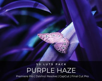 May include: A light pink butterfly with dark brown patterns rests on a purple leaf. The text reads 50 LUTS PACK PURPLE HAZE Premiere Pro | DaVinci Resolve | CapCut | Final Cut Pro in white font against a dark background at the bottom.