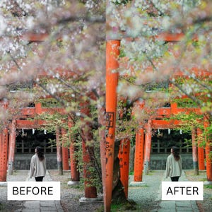 40 LUT cinematografiche giapponesi / Pacchetto di color grading in stile Tokyo Film per Premiere Pro, CapCut e DaVinci Resolve / LUT per filmmaker di viaggio immagine 4