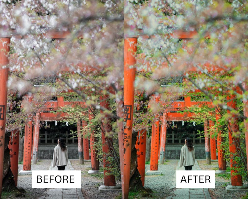 40 LUT cinematografiche giapponesi / Pacchetto di color grading in stile Tokyo Film per Premiere Pro, CapCut e DaVinci Resolve / LUT per filmmaker di viaggio immagine 4