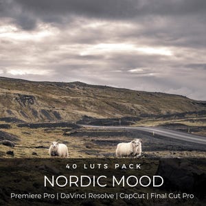 40 Nordic Mood LUTs | Dark Moody Landscape Color Grading LUT Pack for Premiere Pro, CapCut & DaVinci Resolve
