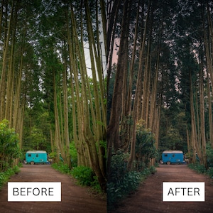 May include: A blue camper van parked in a forest setting with tall trees on either side of a dirt road. The image is split into two sections, with the left side showing the original image and the right side showing the image after editing. The text "BEFORE" is below the left side of the image and the text "AFTER" is below the right side of the image.