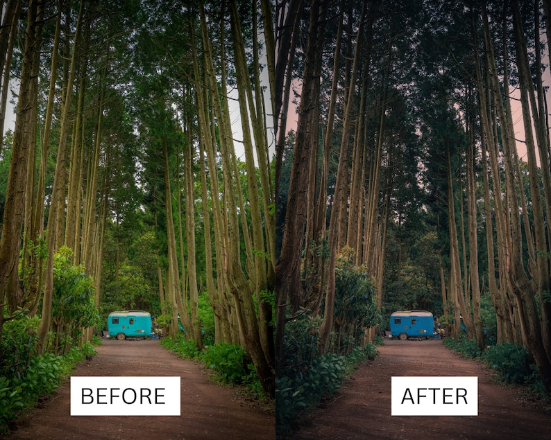 May include: A blue camper van parked in a forest setting with tall trees on either side of a dirt road. The image is split into two sections, with the left side showing the original image and the right side showing the image after editing. The text "BEFORE" is below the left side of the image and the text "AFTER" is below the right side of the image.