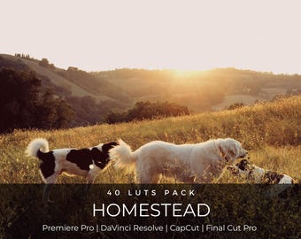 40 Cottagecore LUT Pack | Homestead Farm Life Color Grading LUTs for Premiere Pro, CapCut & DaVinci Resolve | Rustic Film Look