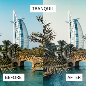 Puede incluir: Una imagen de antes y despu&eacute;s que muestra los efectos de un filtro fotogr&aacute;fico. La imagen de antes muestra un edificio alto y blanco con una parte superior curva, palmeras y un puente sobre una masa de agua. La imagen de despu&eacute;s muestra la misma escena con una paleta de colores m&aacute;s tranquila y suave.