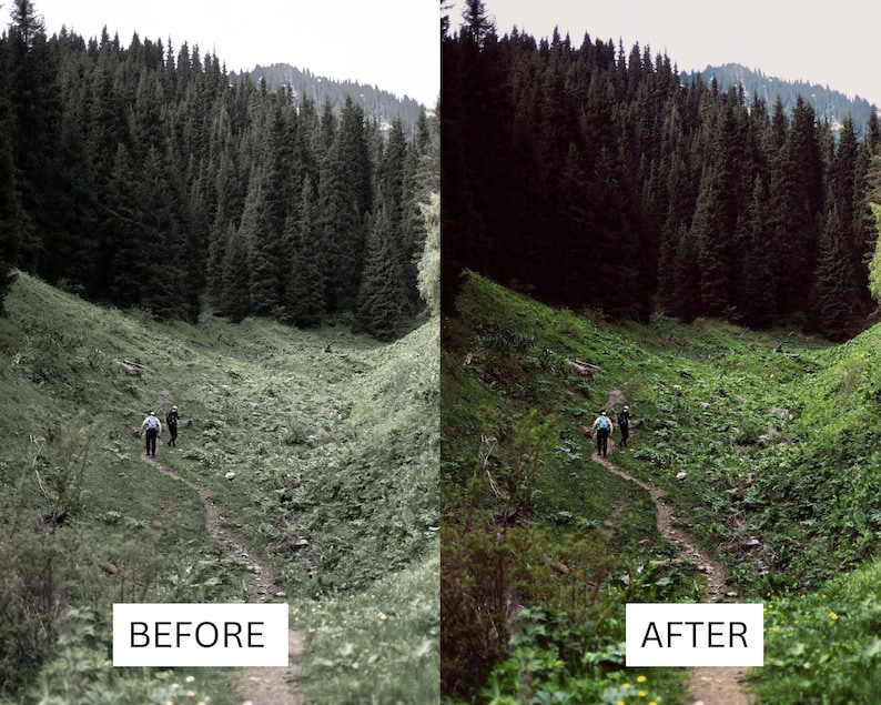 40 Cinematic Green LUTs | Nature & Forest Color Grading | Landscape, Hiking Video | Premiere Pro, CapCut, Final Cut Pro, DaVinci Resolve image 11
