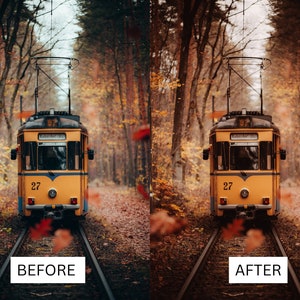 Puede incluir: Un tranv&iacute;a vintage amarillo con techo negro y el n&uacute;mero 27 en el lateral circula por unas v&iacute;as de tren en un bosque. Los &aacute;rboles est&aacute;n desnudos y las hojas son marrones y naranjas. El tranv&iacute;a viaja a trav&eacute;s de un t&uacute;nel de &aacute;rboles.