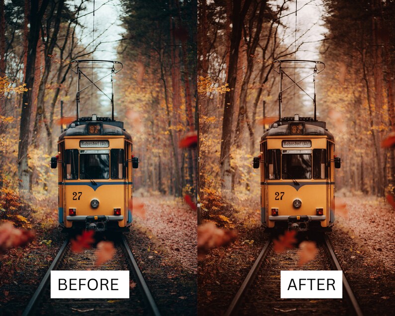 Puede incluir: Un tranv&iacute;a vintage amarillo con techo negro y el n&uacute;mero 27 en el lateral circula por unas v&iacute;as de tren en un bosque. Los &aacute;rboles est&aacute;n desnudos y las hojas son marrones y naranjas. El tranv&iacute;a viaja a trav&eacute;s de un t&uacute;nel de &aacute;rboles.