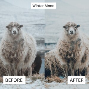 40 Faroe Islands LUTs | Nordic Cinematic Landscape Color Grading for Premiere Pro, CapCut & DaVinci Resolve | Moody Travel Film Look image 10