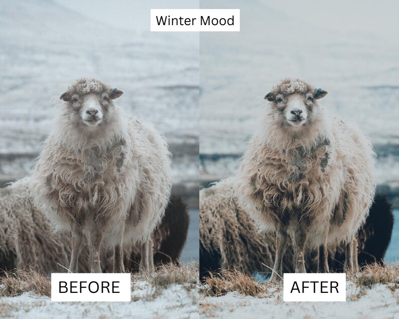 40 Faroe Islands LUTs | Nordic Cinematic Landscape Color Grading for Premiere Pro, CapCut & DaVinci Resolve | Moody Travel Film Look image 10