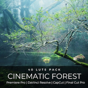 40 Cinematic Forest LUTs | Lush Green Color Grading for Premiere Pro, CapCut & DaVinci Resolve | Nature Hiking Waterfall LUT Pack image 1