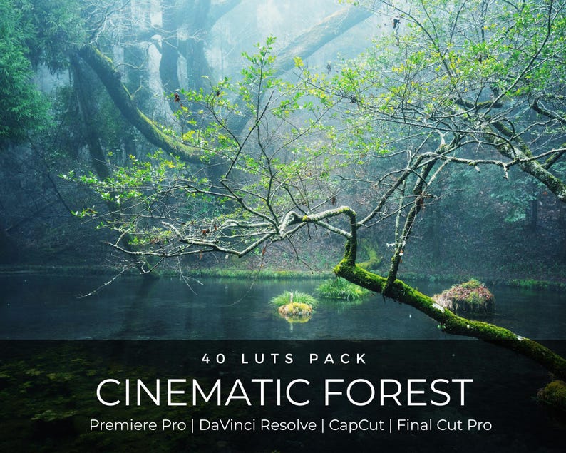 40 Cinematic Forest LUTs | Lush Green Color Grading for Premiere Pro, CapCut & DaVinci Resolve | Nature Hiking Waterfall LUT Pack image 1