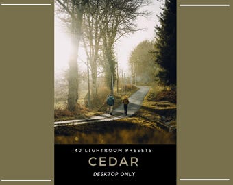 40 Cedar Forest Lightroom Presets – Moody Green, Cinematic Nature, Outdoor Travel Presets (Desktop Only)