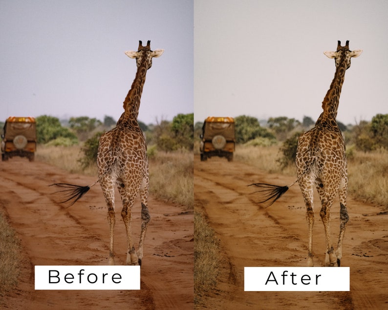 Op de afbeelding: Een giraffe loopt over een zandweg in een savannelandschap. De giraffe is bruin en heeft een lange nek en een lange staart. Een voertuig is in de verte.
