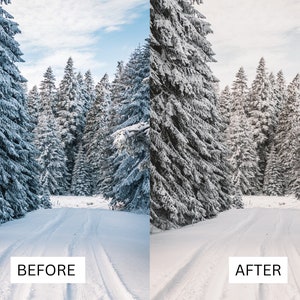 50 vinterfilmiska LUT-paket | Färggraderings-LUT:er för snö och alpina landskap för Premiere Pro, CapCut, DaVinci Resolve | Förinställningar för filmutseende bild 6