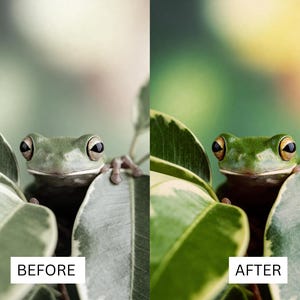 40 Cinematic Green LUTs | Nature & Forest Color Grading | Landscape, Hiking Video | Premiere Pro, CapCut, Final Cut Pro, DaVinci Resolve image 7