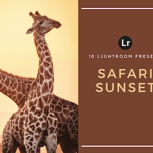 10 Lightroom Presets | Safari Sunset | Wildlife Animals | African | Africa | Sunsets | Desktop