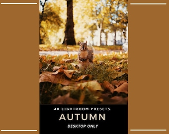May include: A digital product listing featuring a squirrel standing in a park covered with fallen autumn leaves. The text at the bottom reads 40 LIGHTROOM PRESETS AUTUMN DESKTOP ONLY, set against a black background with brown side borders.
