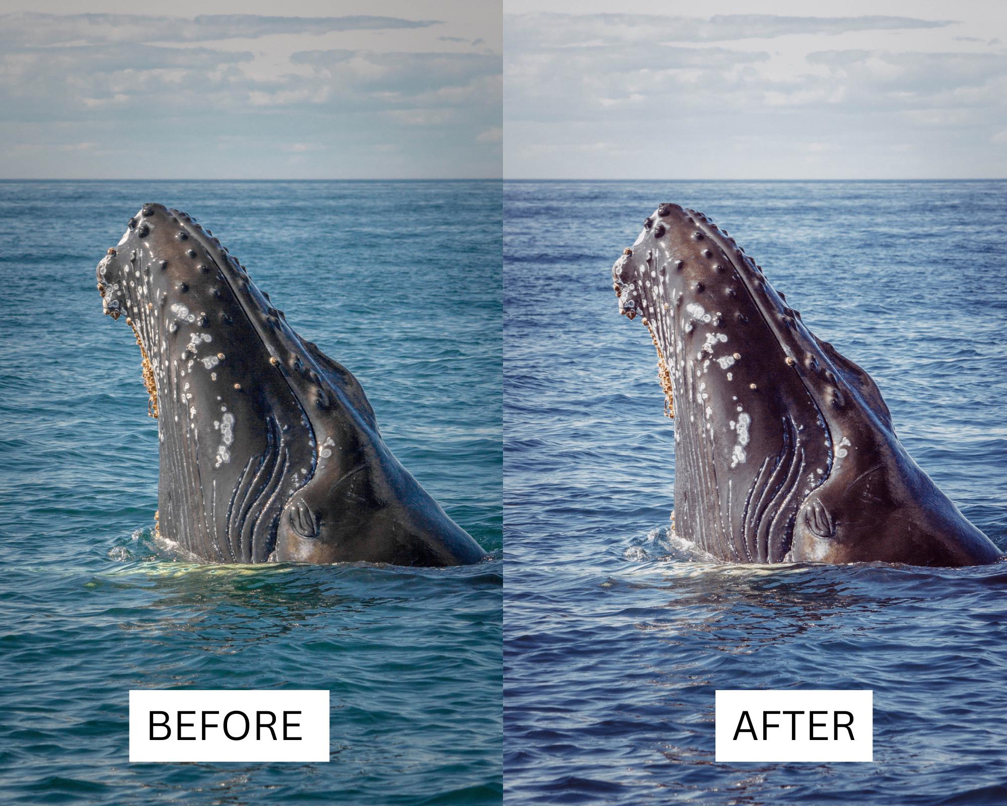 40 LUTS | Cinematic Ocean | Sea | Landscape | Blue | Premiere Pro ...