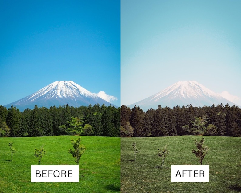 40 Japanse plattelands-LUT's | Matcha-groene filmlook | Filmische landschapskleurgrading voor Premiere Pro, CapCut en DaVinci Resolve afbeelding 4