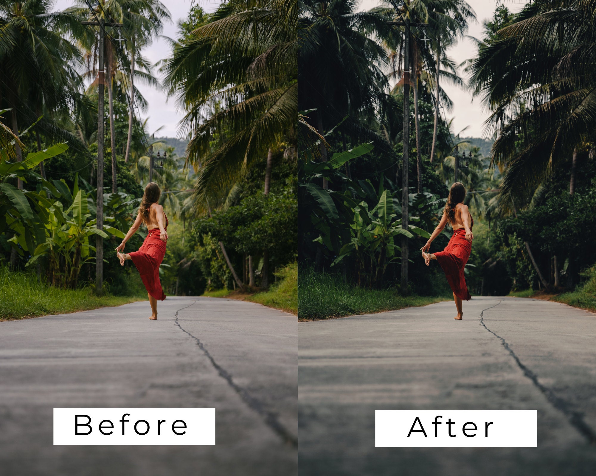 40 Lightroom Presets Tropical Rainforest Travel Desktop Jungle