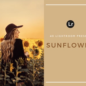 40 Lightroom Presets | Sunflower | Flowers | Desktop | Sunset | Nature | Summer | Spring