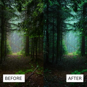 May include: A before and after image showing the difference in a photo editing technique. The before image shows a dark, misty forest with a path leading into the woods. The after image shows the same forest, but the colors are more vibrant and the image is brighter.