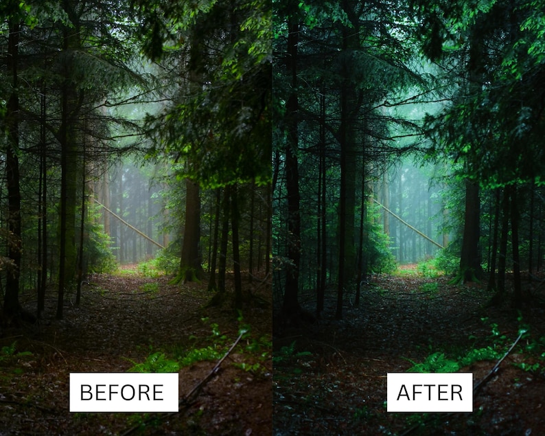 May include: A before and after image showing the difference in a photo editing technique. The before image shows a dark, misty forest with a path leading into the woods. The after image shows the same forest, but the colors are more vibrant and the image is brighter.