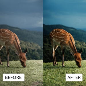 40 LUT cinematografiche giapponesi / Pacchetto di color grading in stile Tokyo Film per Premiere Pro, CapCut e DaVinci Resolve / LUT per filmmaker di viaggio immagine 3