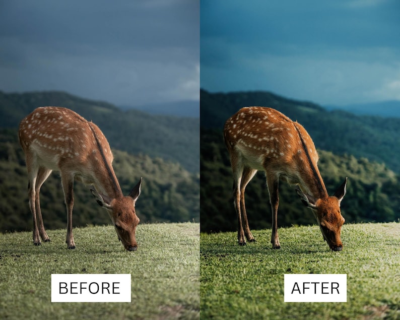 40 LUT cinematografiche giapponesi / Pacchetto di color grading in stile Tokyo Film per Premiere Pro, CapCut e DaVinci Resolve / LUT per filmmaker di viaggio immagine 3