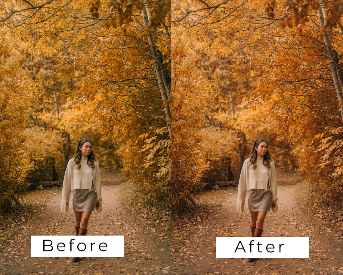 50 Autumn Luts Pack | Fall Color Grading Luts for Premiere Pro, Capcut ...