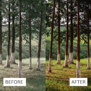 40 Cinematic Green LUTs | Nature & Forest Color Grading | Landscape, Hiking Video | Premiere Pro, CapCut, Final Cut Pro, DaVinci Resolve image 12
