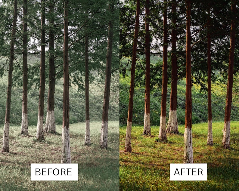 40 Cinematic Green LUTs | Nature & Forest Color Grading | Landscape, Hiking Video | Premiere Pro, CapCut, Final Cut Pro, DaVinci Resolve image 12