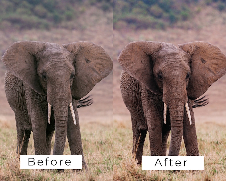 Op de afbeelding: Een voor- en na-beeld van een olifant in een grasveld. De afbeelding links toont de olifant in zijn natuurlijke staat, terwijl de afbeelding rechts de olifant toont nadat hij is bewerkt om een ​​levendigere kleur te krijgen.