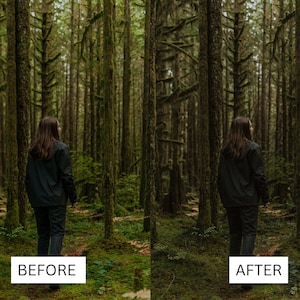 May include: A person stands in a dense forest, with tall trees and moss-covered trunks. The image is split, with "BEFORE" text on the left and "AFTER" text on the right, indicating a visual comparison of the forest.