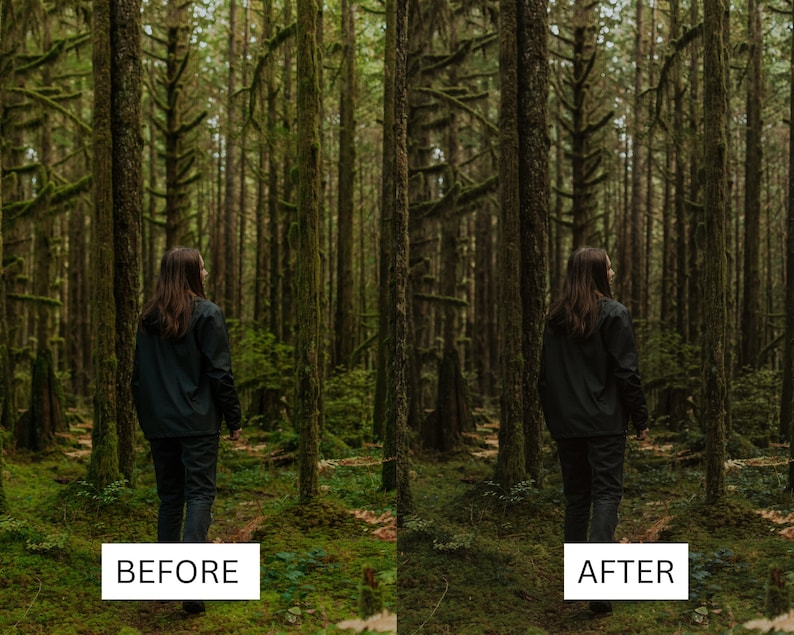 May include: A person stands in a dense forest, with tall trees and moss-covered trunks. The image is split, with "BEFORE" text on the left and "AFTER" text on the right, indicating a visual comparison of the forest.