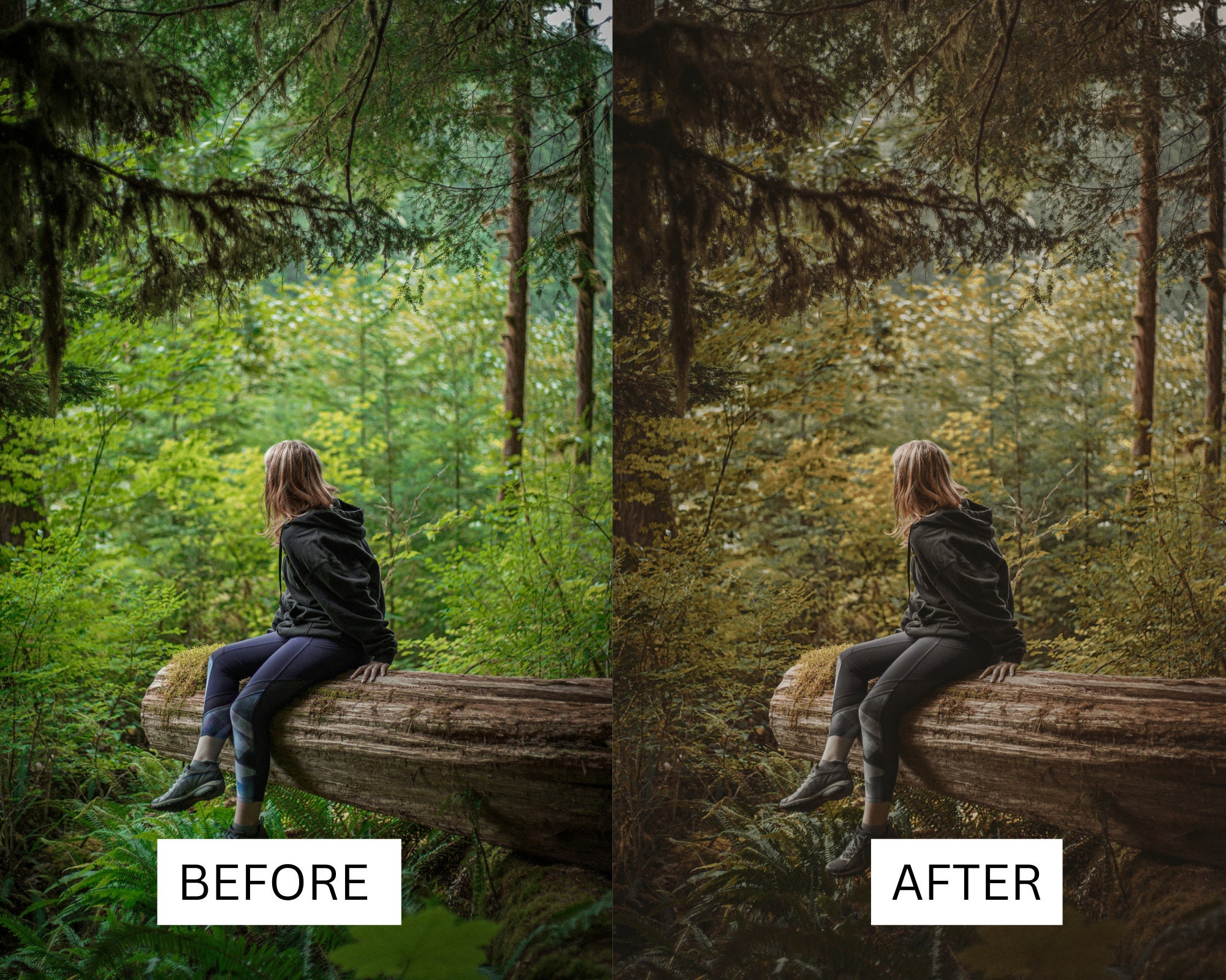 Rustic Picture Editing Examples 50 LUTS Forest Mood Rustic Nature Hiking Trees Premiere Pro Photoshop ...