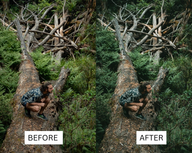 May include: A split image showing a person squatting on a fallen tree trunk in a forest setting. The left side is labelled "BEFORE" and the right side is labelled "AFTER", indicating a photo editing comparison. The forest is lush with green foliage.