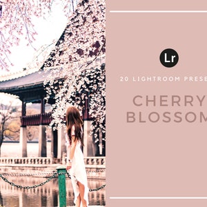 20 個の Lightroom プリセット | 桜 | 木 | ピンク | 日本 | 桜 | デスクトップ | 春 | 花