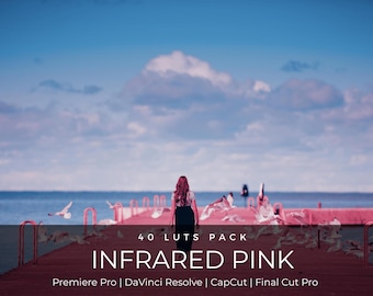 May include: A digital product cover featuring a person standing on a pink-toned wooden pier with flying birds, under a blue sky. Text reads: 40 LUTS PACK INFRARED PINK Premiere Pro | DaVinci Resolve | CapCut | Final Cut Pro.