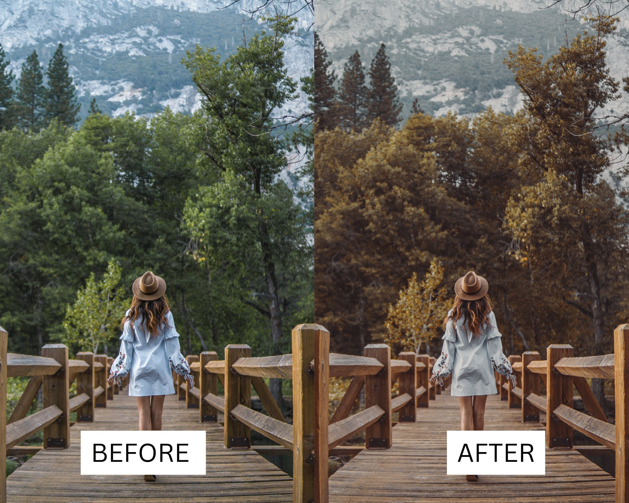 Rustic Picture Editing Examples 50 LUTS | Forest Mood | Rustic | Nature | Hiking | Trees | Premiere Pro ...