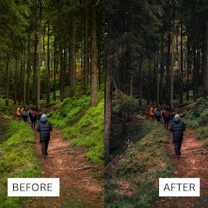 May include: A group of people hike through a lush green forest on a dirt path. The trees are tall and the foliage is dense. The path is winding and leads to a clearing in the distance.