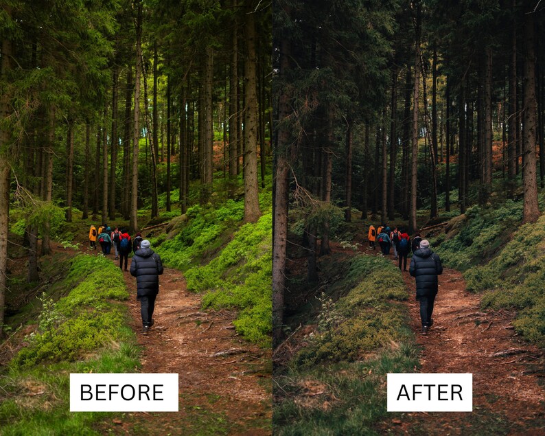 May include: A group of people hike through a lush green forest on a dirt path. The trees are tall and the foliage is dense. The path is winding and leads to a clearing in the distance.