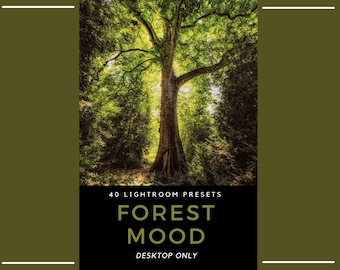 40 Forest Mood Lightroom Presets | Moody Nature Cinematic Green Tone (Desktop Only)