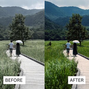 40 Cinematic Green LUTs | Nature & Forest Color Grading | Landscape, Hiking Video | Premiere Pro, CapCut, Final Cut Pro, DaVinci Resolve image 14