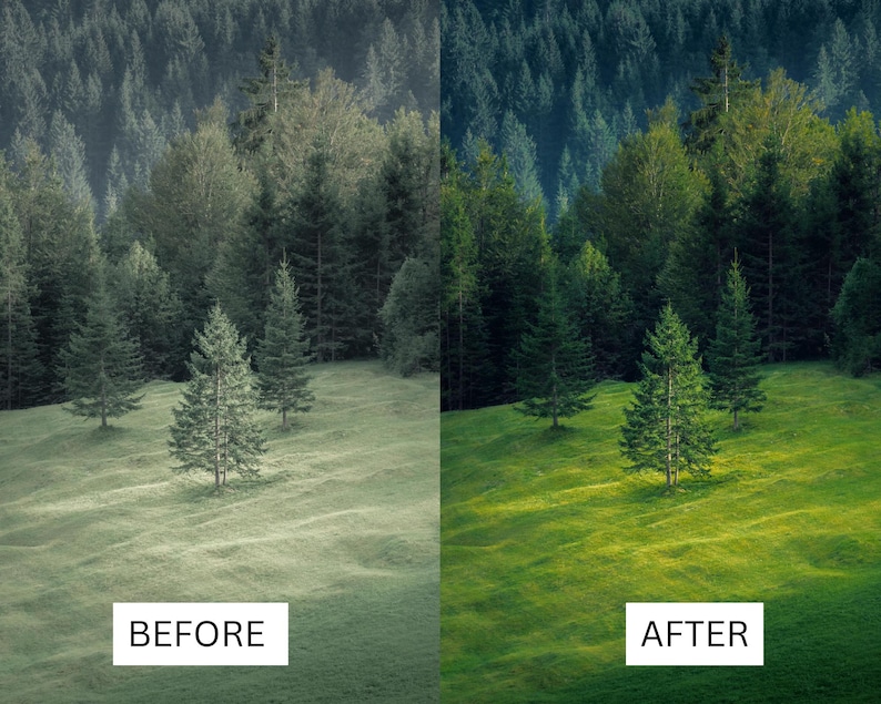 40 Cinematic Green LUTs | Nature & Forest Color Grading | Landscape, Hiking Video | Premiere Pro, CapCut, Final Cut Pro, DaVinci Resolve image 20