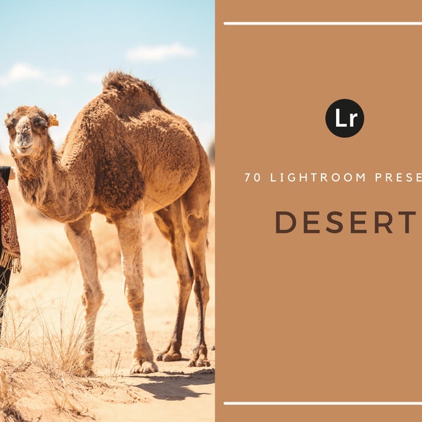 70 Lightroom Presets | Desert | Travel | Egypt | Blogger | Instagram | Desktop | Sahara