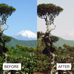 Op de afbeelding: Een gesplitste afbeelding die een landschap voor en na fotobewerking toont. De "Voor"-afbeelding toont een levendige sc&egrave;ne met een boom, weelderig groen en een berg met een besneeuwde top onder een blauwe lucht. De "Na"-afbeelding heeft gedempte kleuren.